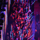 Image for article titled The Awesome Cosplay and Excitement of Star Wars: The Force Awakens' Opening Night